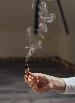 Palo Santo Stick