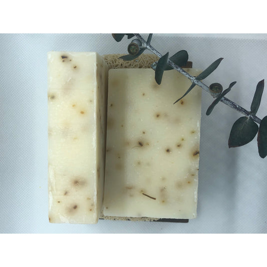 Tea Tree Mint Soap Bar.