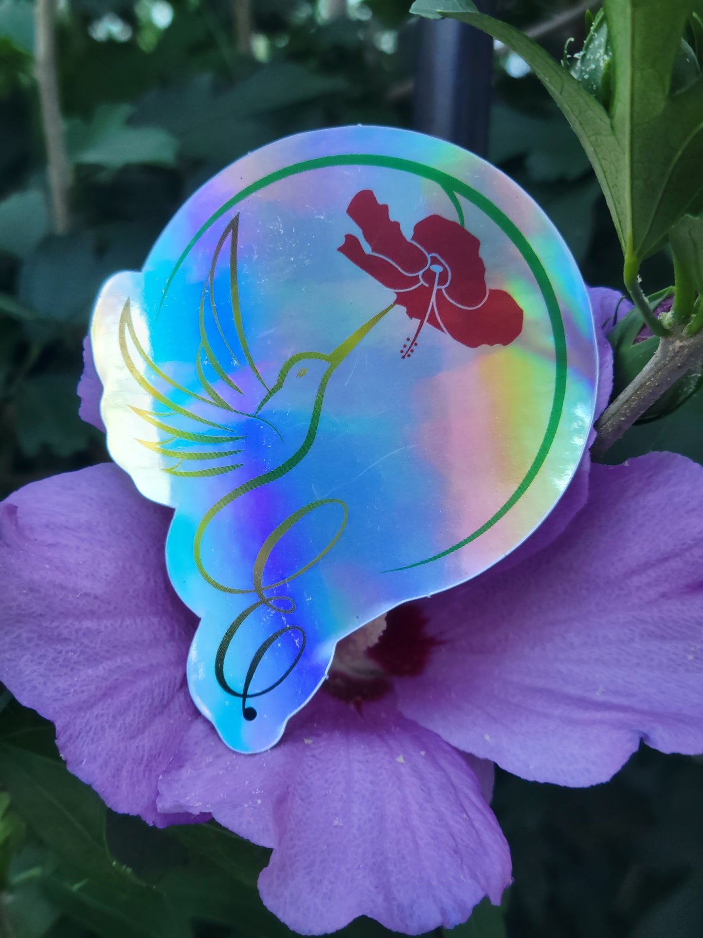 2.5" x 3" Hummingbird Holographic Logo Sticker